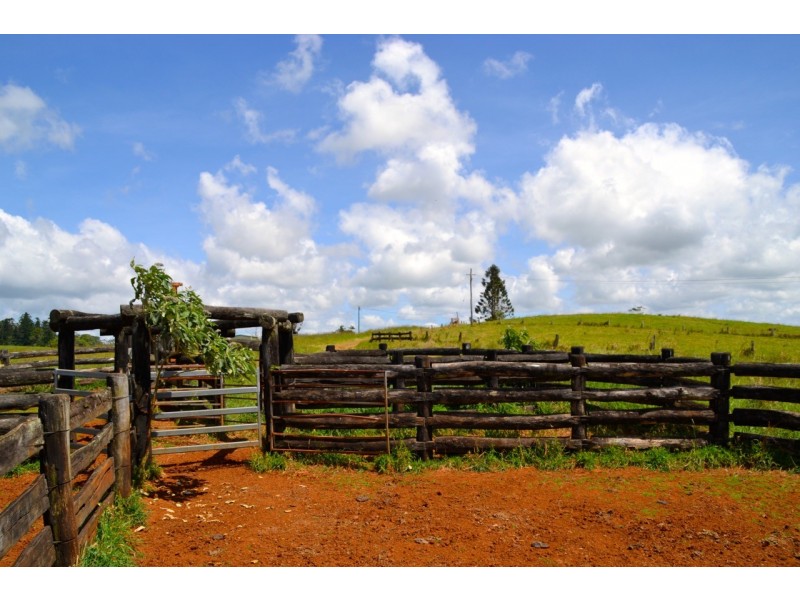 Millaa Millaa QLD 4886