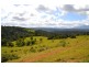 Millaa Millaa QLD 4886