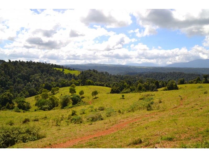 Millaa Millaa QLD 4886