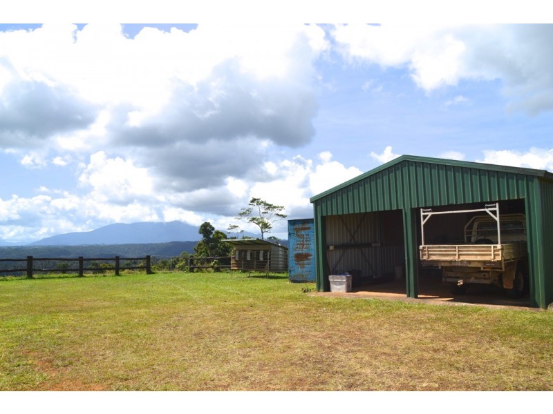 Millaa Millaa QLD 4886