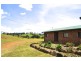 Millaa Millaa QLD 4886