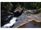 Millaa Millaa QLD 4886