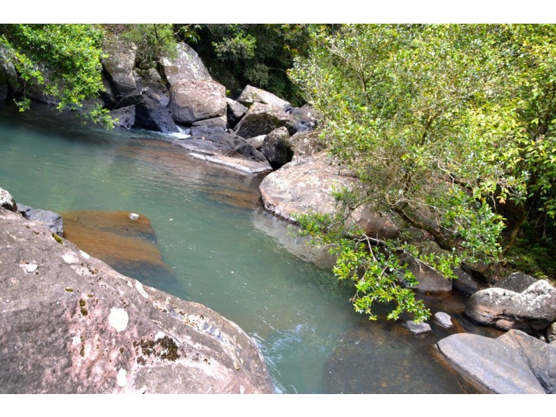 Millaa Millaa QLD 4886