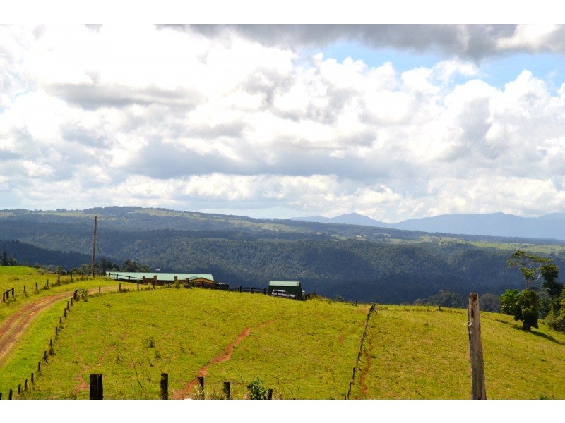 Millaa Millaa QLD 4886