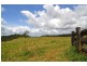 Millaa Millaa QLD 4886