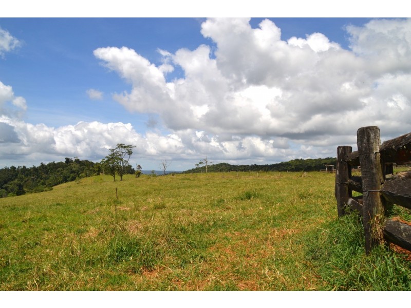 Millaa Millaa QLD 4886