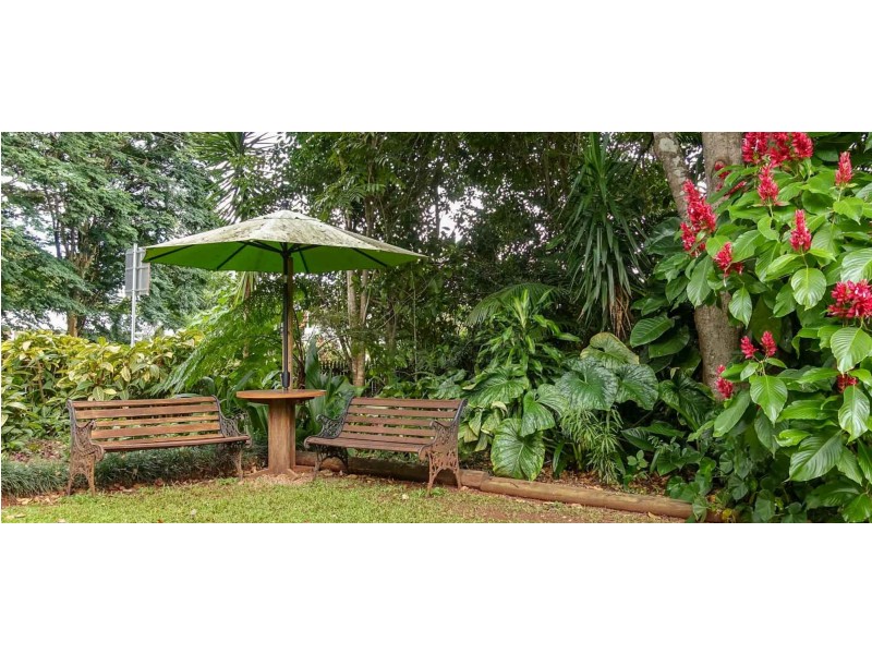 Yungaburra QLD 4884