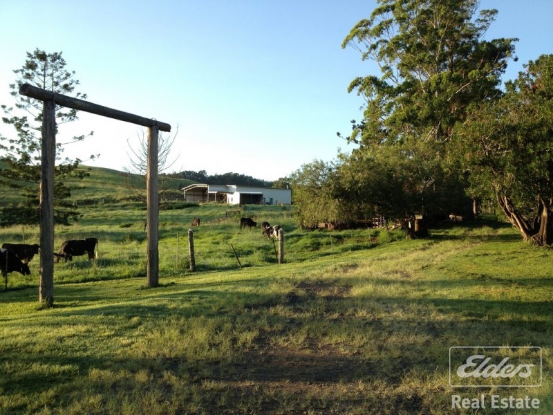 Millaa Millaa QLD 4886