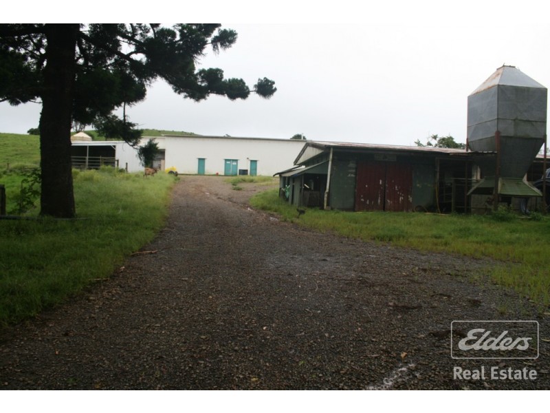 Millaa Millaa QLD 4886