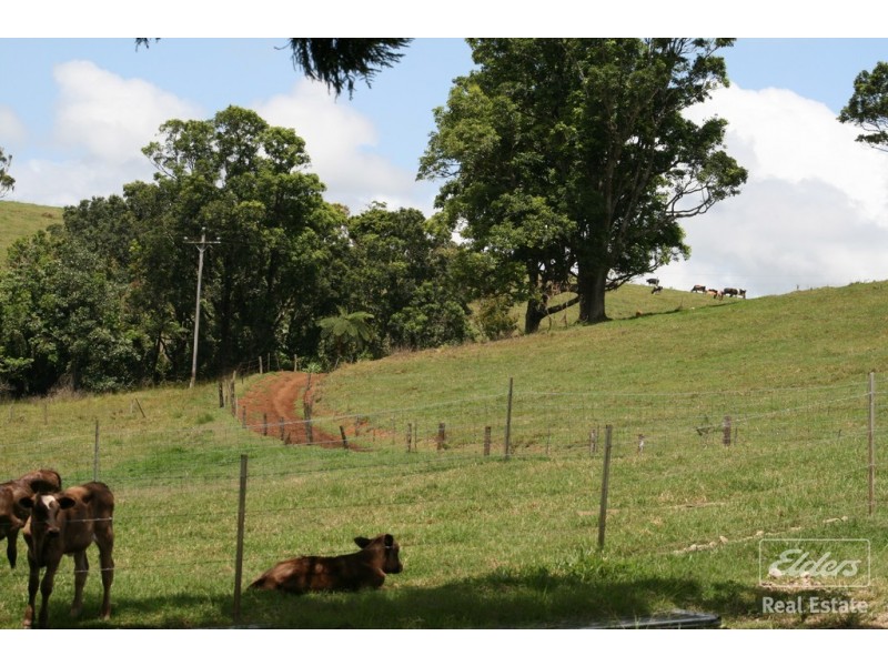 Millaa Millaa QLD 4886