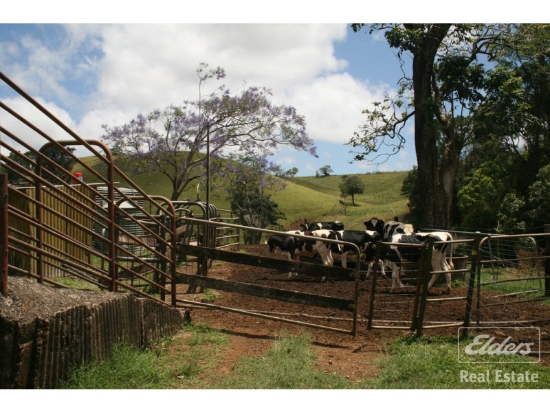 Millaa Millaa QLD 4886
