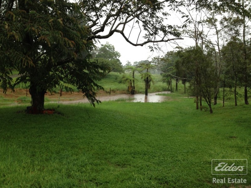 Millaa Millaa QLD 4886