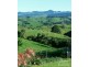 Millaa Millaa QLD 4886