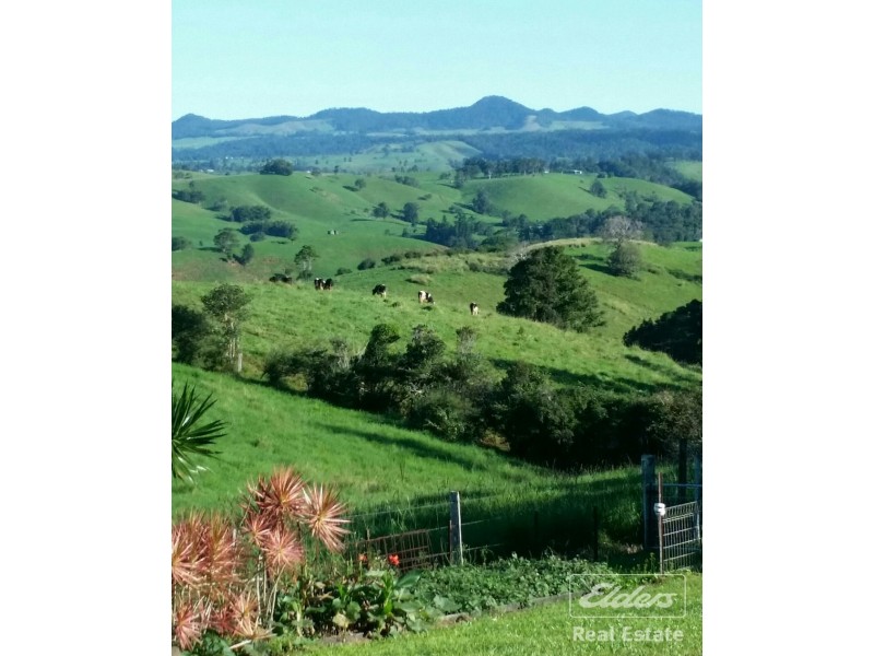 Millaa Millaa QLD 4886