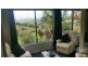 Millaa Millaa QLD 4886