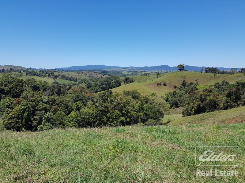Millaa Millaa QLD 4886