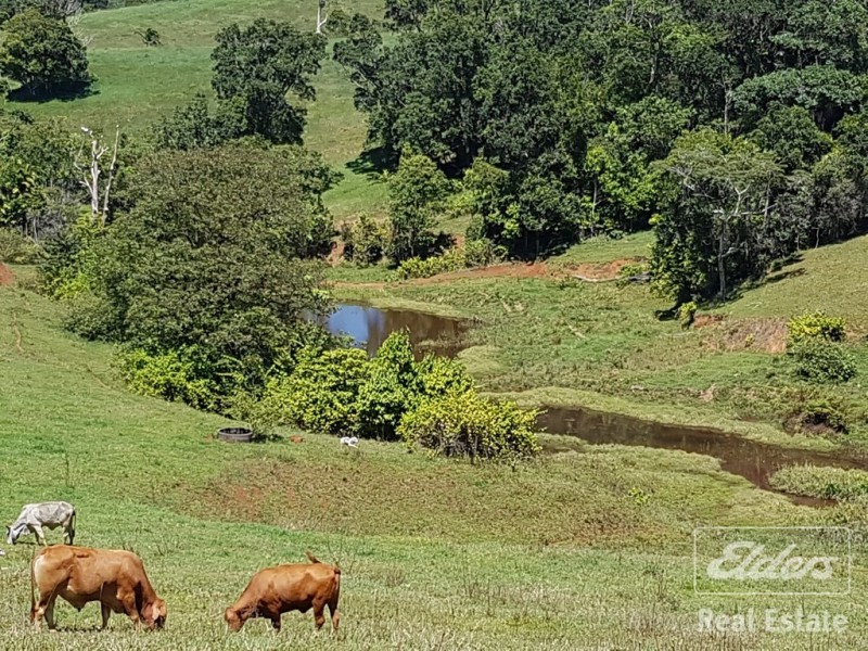 Millaa Millaa QLD 4886
