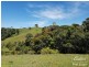 Millaa Millaa QLD 4886