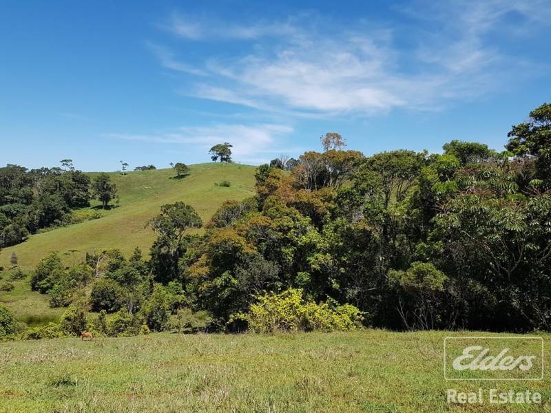 Millaa Millaa QLD 4886