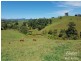 Millaa Millaa QLD 4886