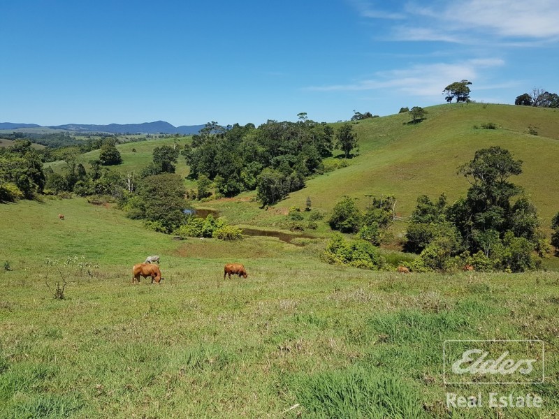 Millaa Millaa QLD 4886