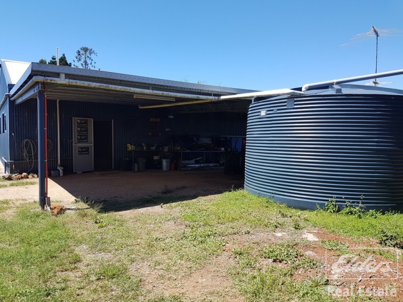 Millaa Millaa QLD 4886