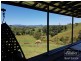 Millaa Millaa QLD 4886
