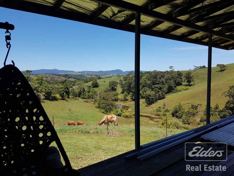 Millaa Millaa QLD 4886