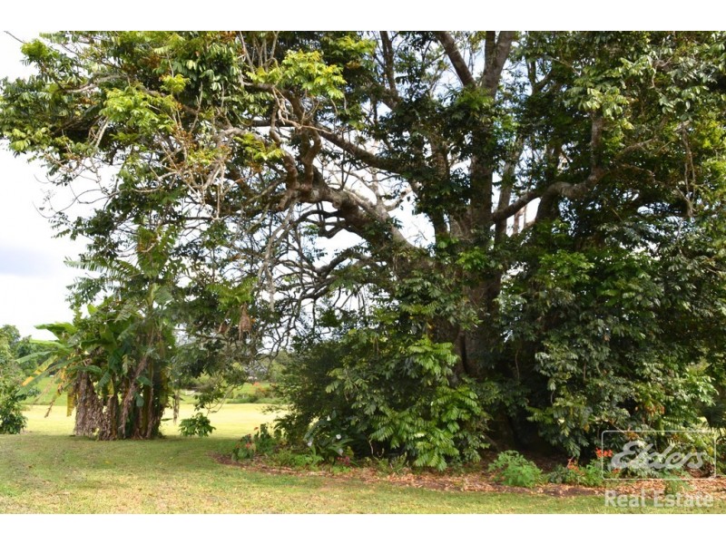 Malanda QLD 4885