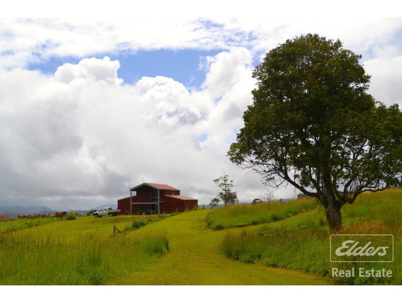 Millaa Millaa QLD 4886