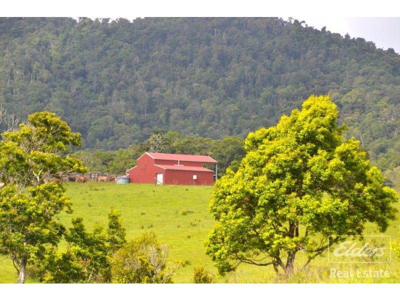 Millaa Millaa QLD 4886