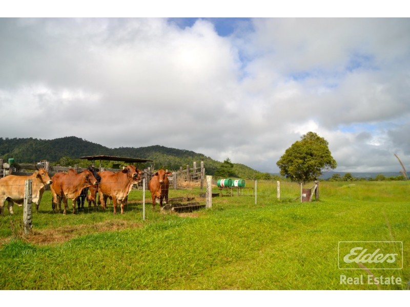 Millaa Millaa QLD 4886