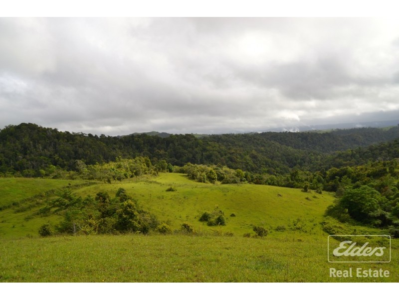 Millaa Millaa QLD 4886