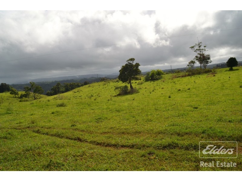 Millaa Millaa QLD 4886