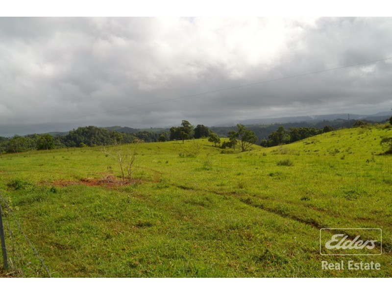 Millaa Millaa QLD 4886