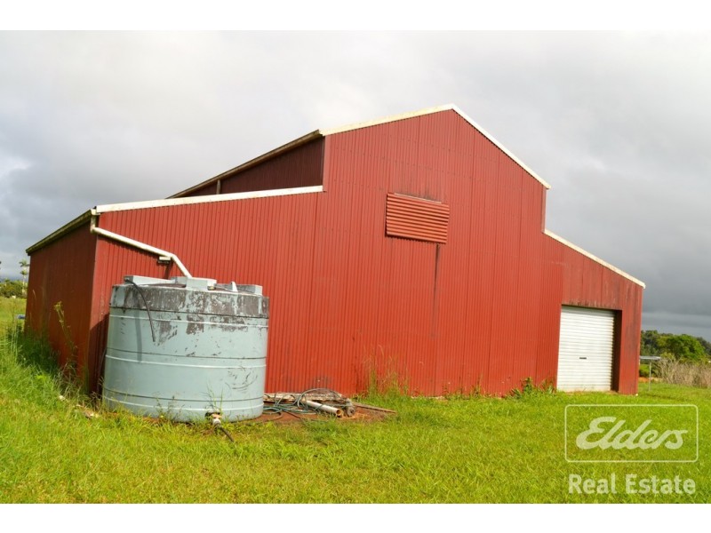 Millaa Millaa QLD 4886