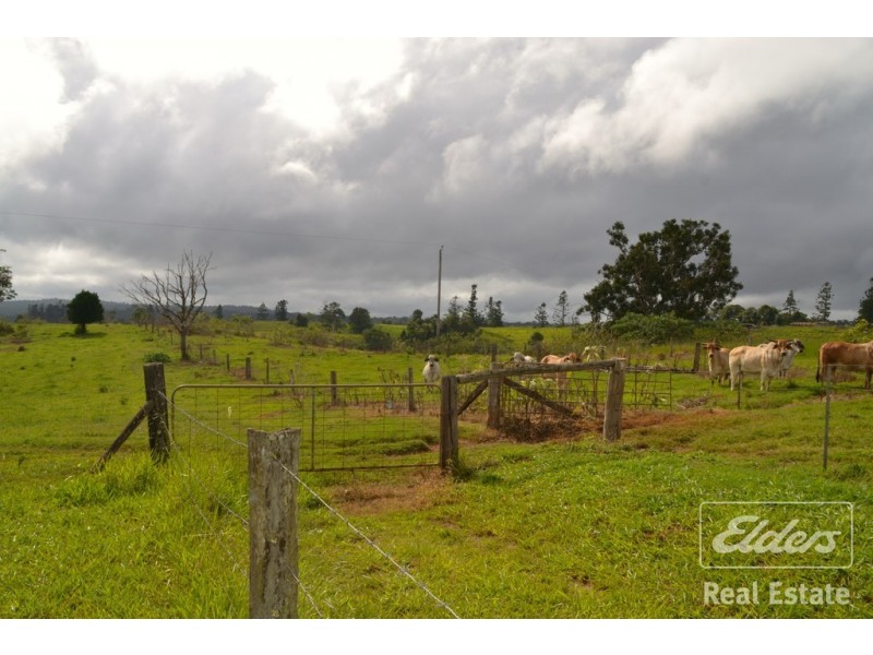 Millaa Millaa QLD 4886