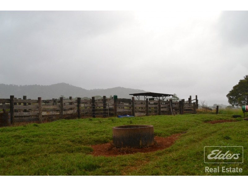 Millaa Millaa QLD 4886