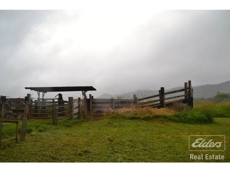 Millaa Millaa QLD 4886