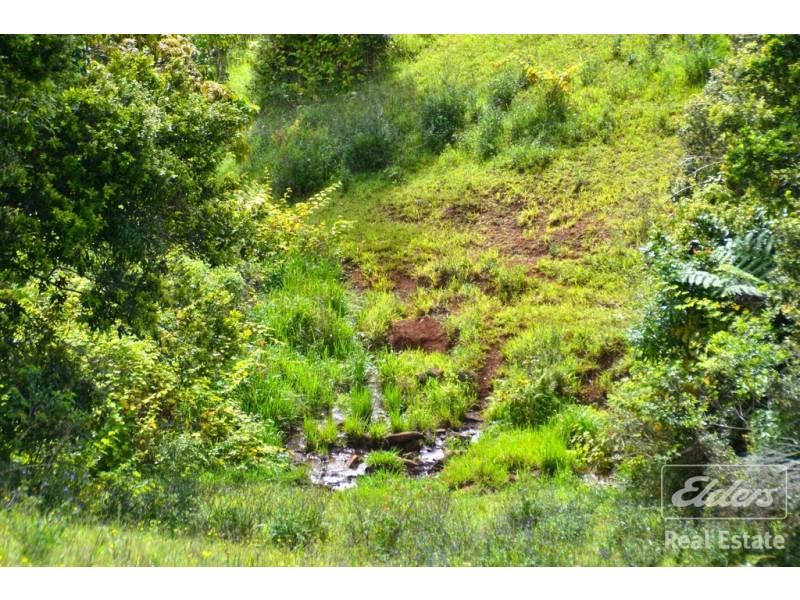 Millaa Millaa QLD 4886