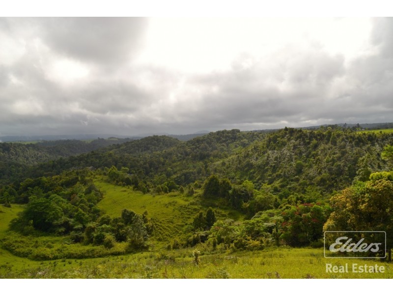 Millaa Millaa QLD 4886