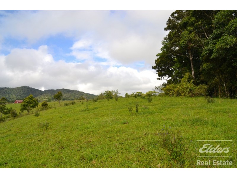 Millaa Millaa QLD 4886