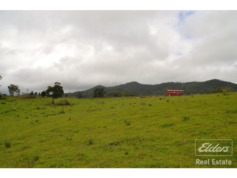 Millaa Millaa QLD 4886