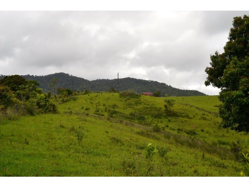 Millaa Millaa QLD 4886