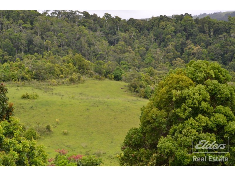 Millaa Millaa QLD 4886