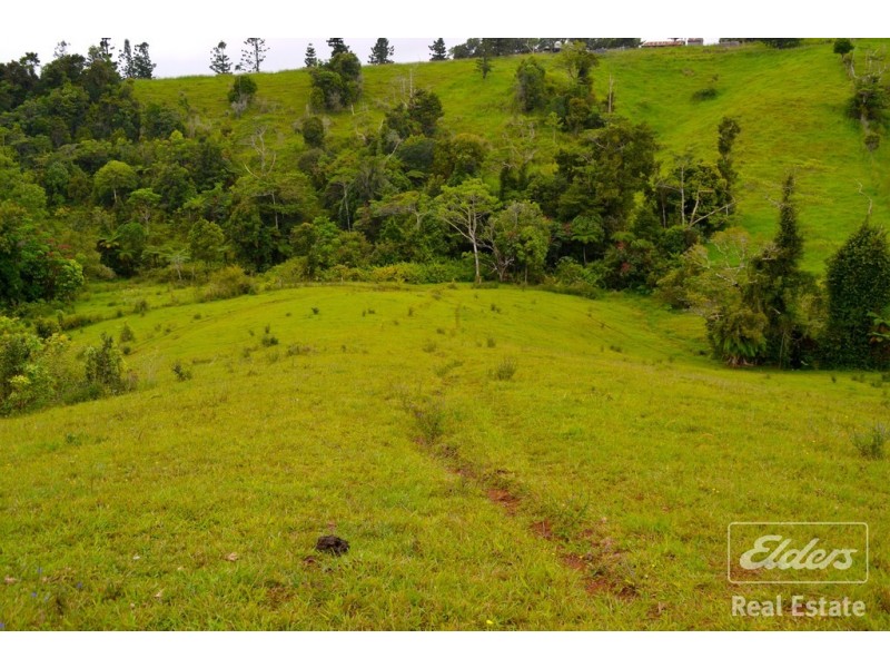 Millaa Millaa QLD 4886