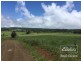 Butchers Creek QLD 4885