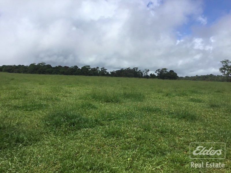 Butchers Creek QLD 4885