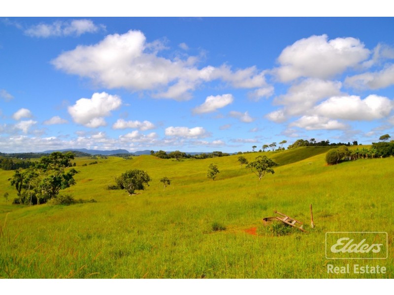 Tarzali QLD 4885