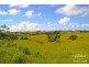 Tarzali QLD 4885